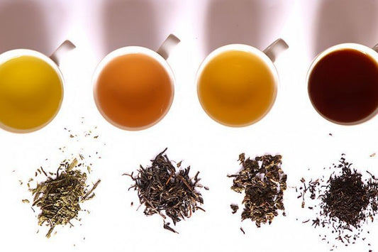 Mastering the Art of Brewing Pu-erh Tea